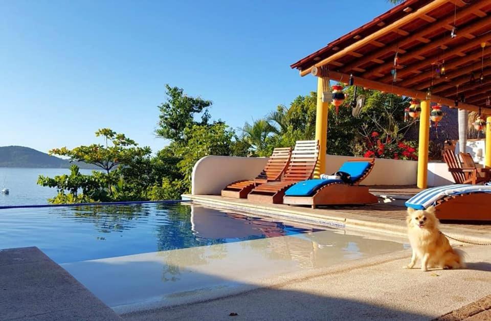 Bungalows La Madera シワタネホ エクステリア 写真